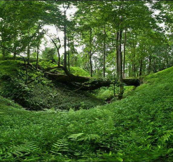 Готель Wonderland Чакві Екстер'єр фото